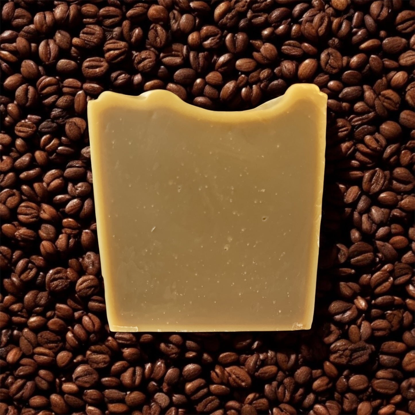 Shampoo & Body Bar